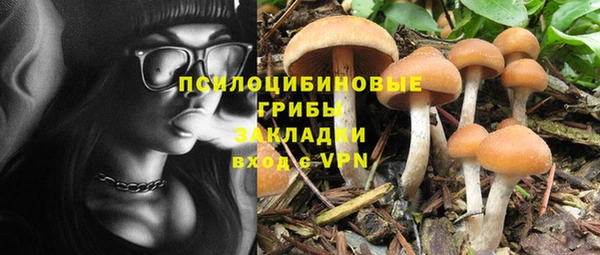 молекула духа Корсаков
