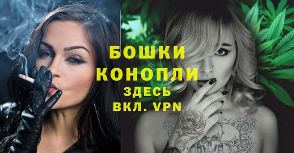 молекула духа Корсаков